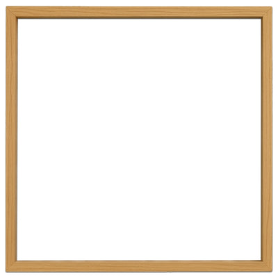 Large Display Frame for 3D Objects & Collections